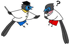 Q＆Aイラスト