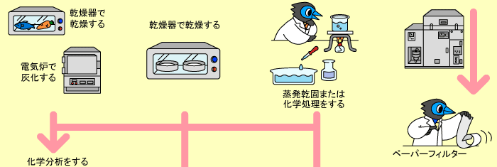 放射能測定画像3